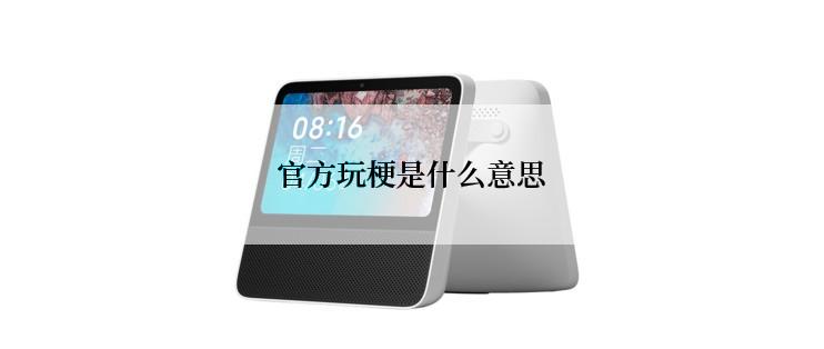 官方玩梗是什么意思