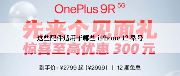 这些配件适用于哪些 iPhone 12 型号