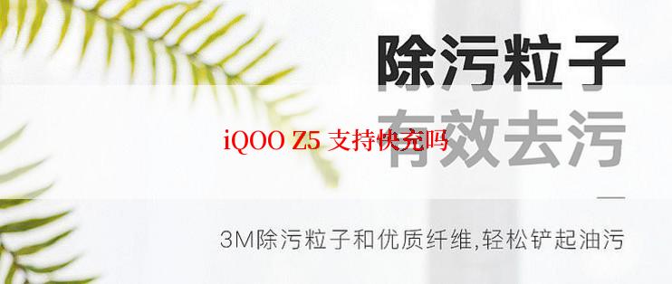 iQOO Z5 支持快充吗