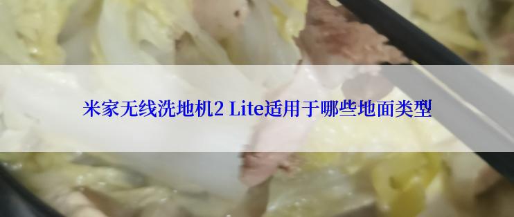 米家无线洗地机2 Lite适用于哪些地面类型