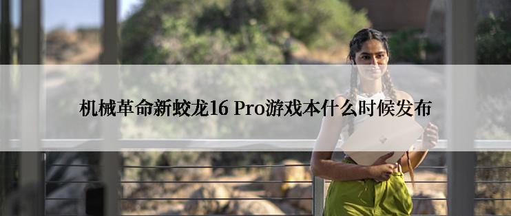 机械革命新蛟龙16 Pro游戏本什么时候发布