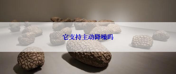 它支持主动降噪吗