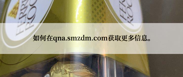 如何在qna.smzdm.com获取更多信息。