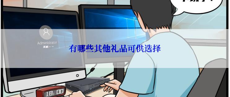 有哪些其他礼品可供选择