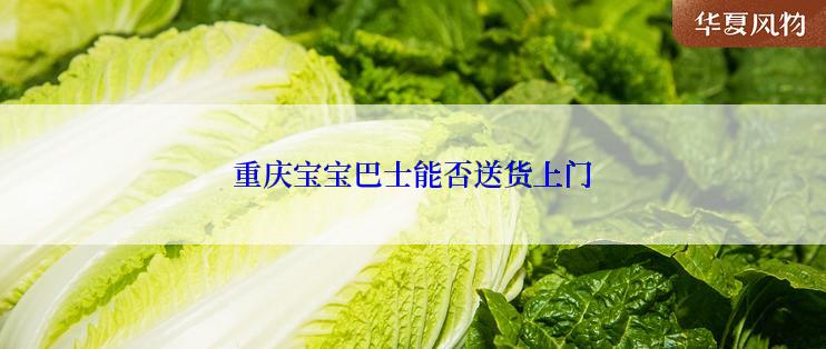 重庆宝宝巴士能否送货上门