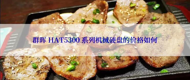 群晖 HAT5300 系列机械硬盘的价格如何