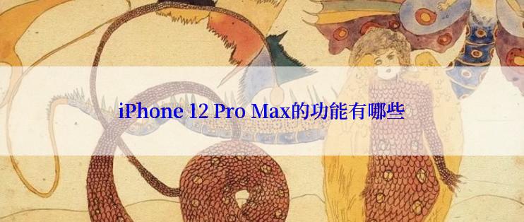 iPhone 12 Pro Max的功能有哪些