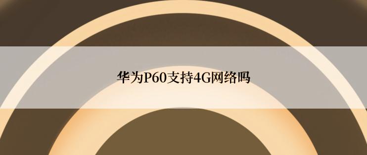 华为P60支持4G网络吗