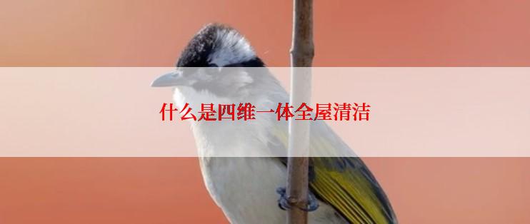 什么是四维一体全屋清洁