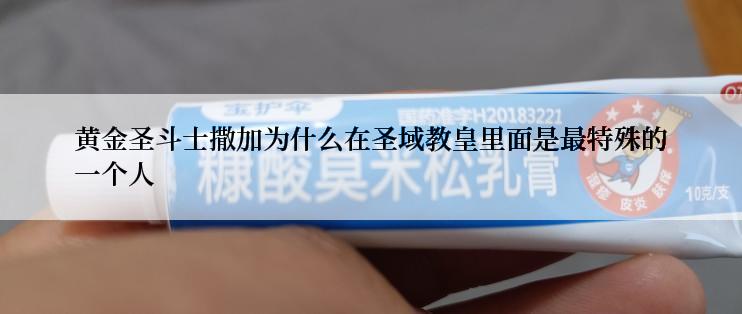 黄金圣斗士撒加为什么在圣域教皇里面是最特殊的一个人