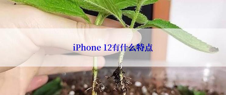 iPhone 12有什么特点