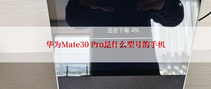 华为Mate30 Pro是什么型号的手机