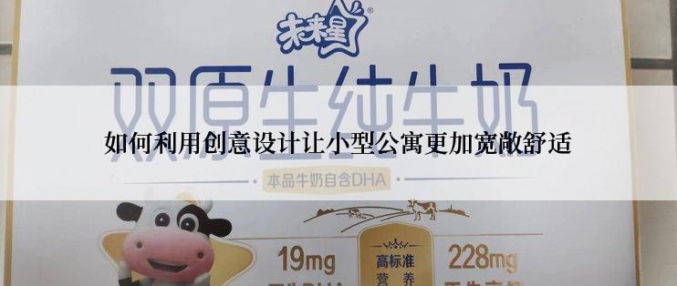 如何利用创意设计让小型公寓更加宽敞舒适