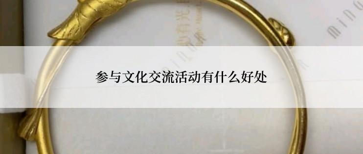 参与文化交流活动有什么好处