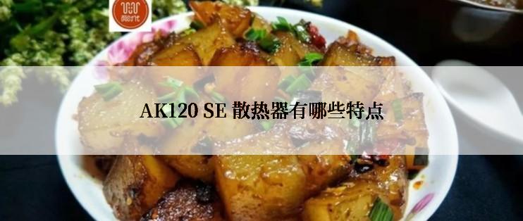 AK120 SE 散热器有哪些特点