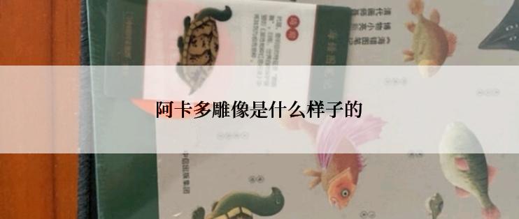 阿卡多雕像是什么样子的