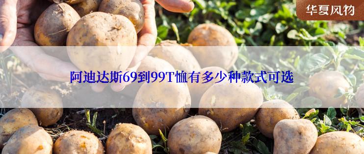 阿迪达斯69到99T恤有多少种款式可选