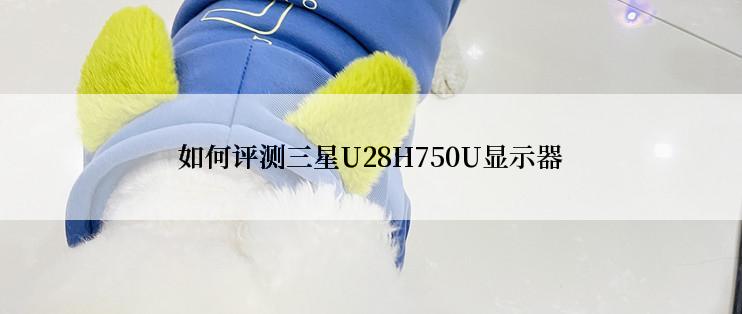 如何评测三星U28H750U显示器