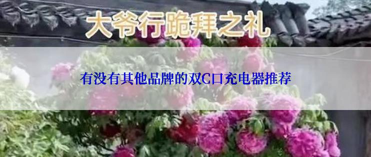 有没有其他品牌的双C口充电器推荐