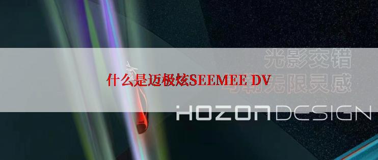 什么是迈极炫SEEMEE DV