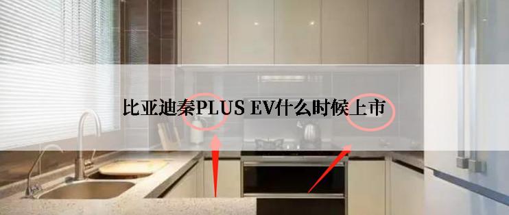 比亚迪秦PLUS EV什么时候上市