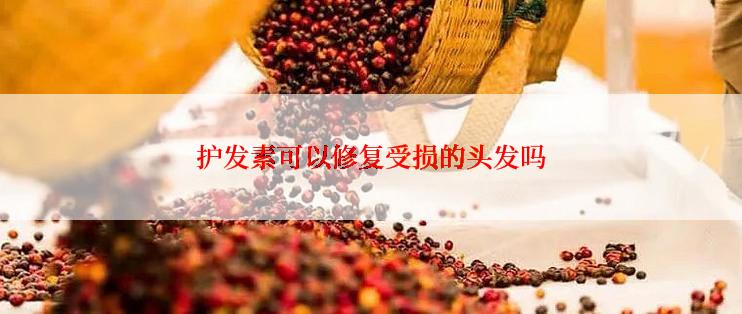 护发素可以修复受损的头发吗