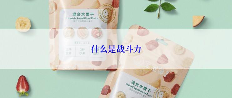 什么是战斗力