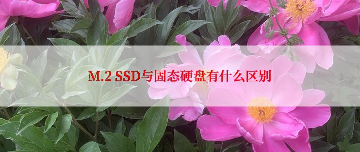 M.2 SSD与固态硬盘有什么区别