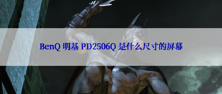 BenQ 明基 PD2506Q 是什么尺寸的屏幕