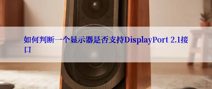 如何判断一个显示器是否支持DisplayPort 2.1接口