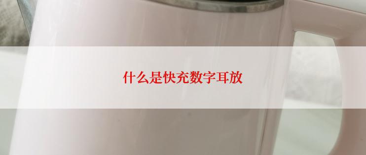 什么是快充数字耳放