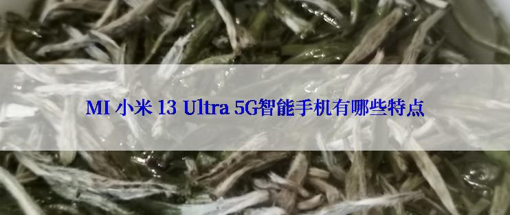 MI 小米 13 Ultra 5G智能手机有哪些特点