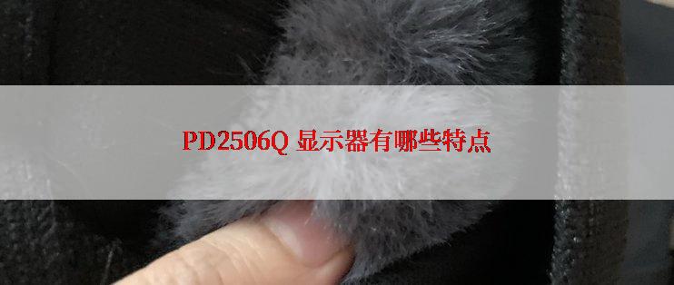 PD2506Q 显示器有哪些特点