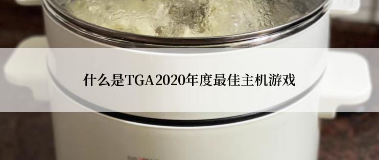 什么是TGA2020年度最佳主机游戏