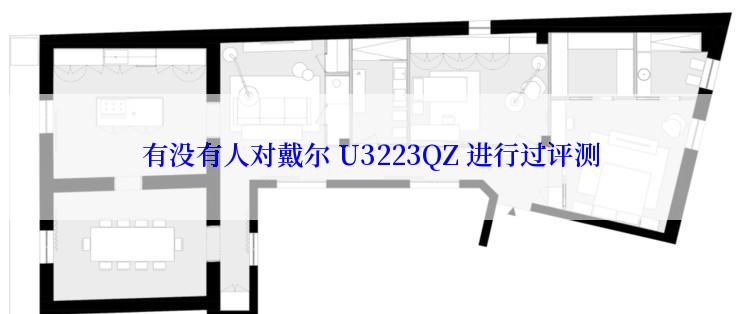 有没有人对戴尔 U3223QZ 进行过评测