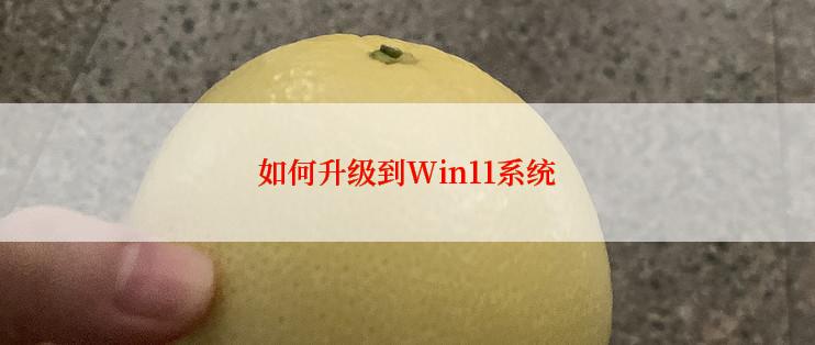 如何升级到Win11系统