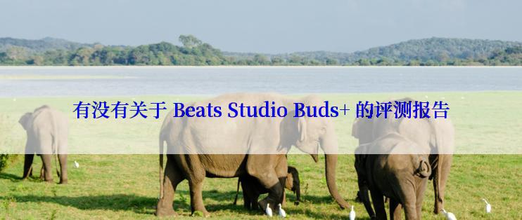 有没有关于 Beats Studio Buds+ 的评测报告