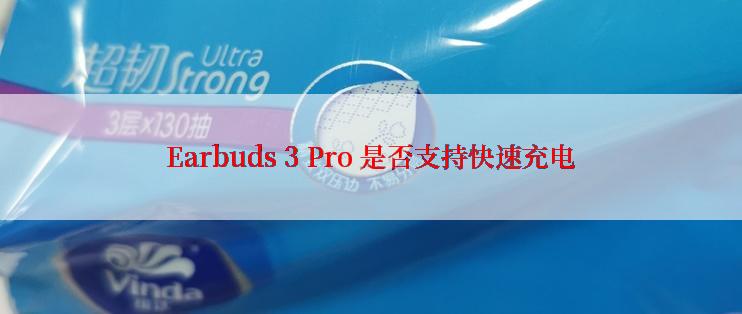 Earbuds 3 Pro 是否支持快速充电