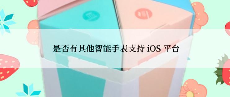  是否有其他智能手表支持 iOS 平台