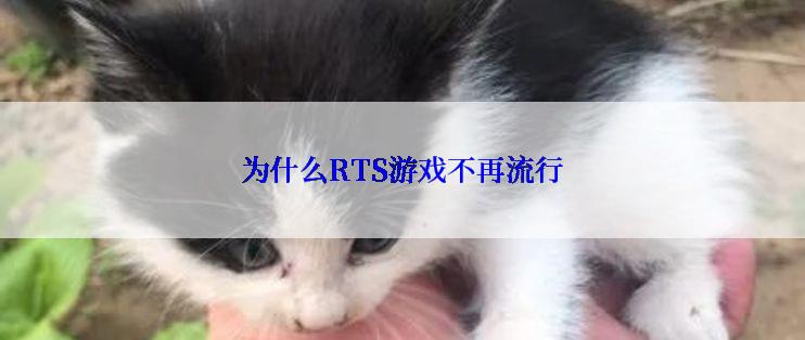 为什么RTS游戏不再流行