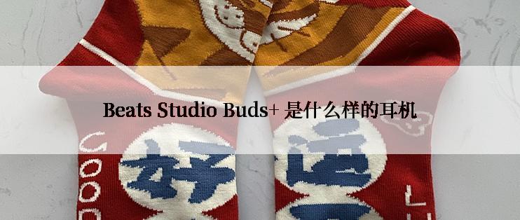 Beats Studio Buds+ 是什么样的耳机