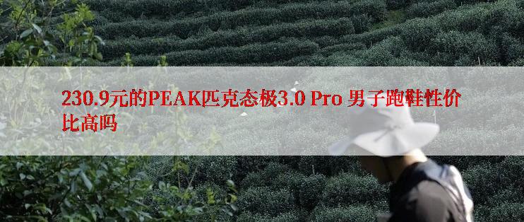 230.9元的PEAK匹克态极3.0 Pro 男子跑鞋性价比高吗