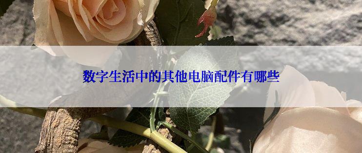 数字生活中的其他电脑配件有哪些