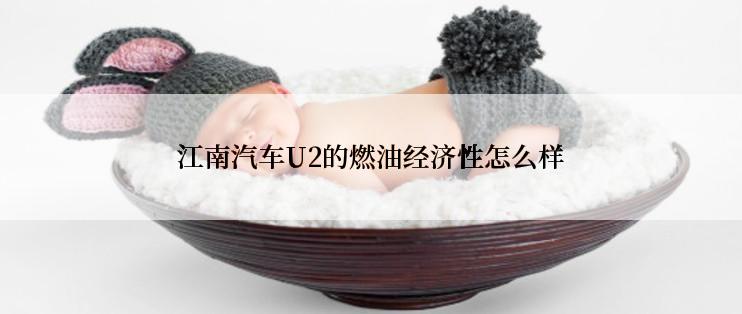 江南汽车U2的燃油经济性怎么样