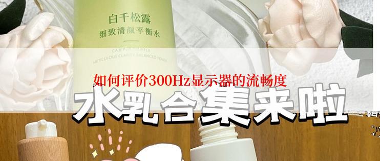 如何评价300Hz显示器的流畅度