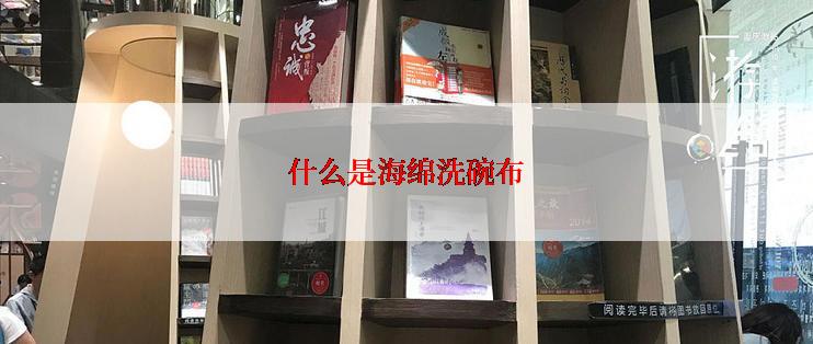 什么是海绵洗碗布