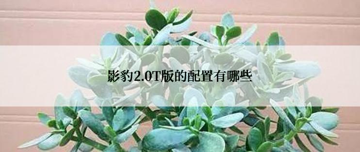 影豹2.0T版的配置有哪些