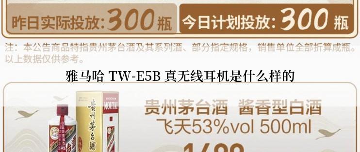 雅马哈 TW-E5B 真无线耳机是什么样的