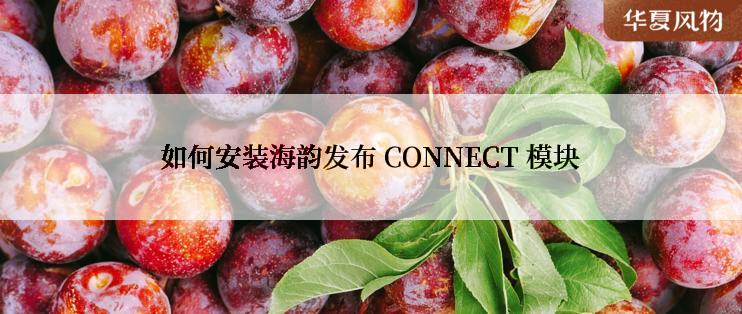 如何安装海韵发布 CONNECT 模块