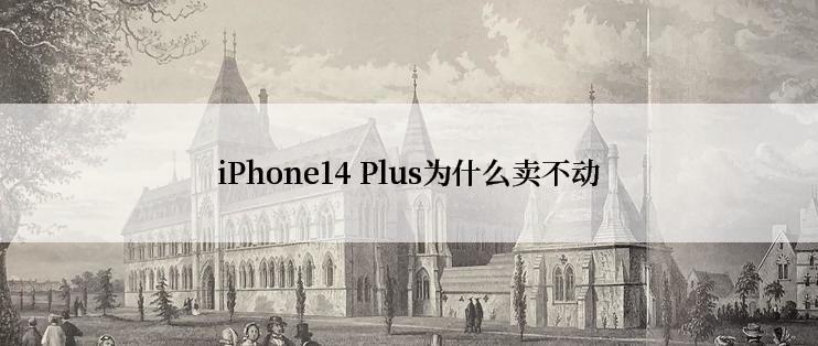 iPhone14 Plus为什么卖不动